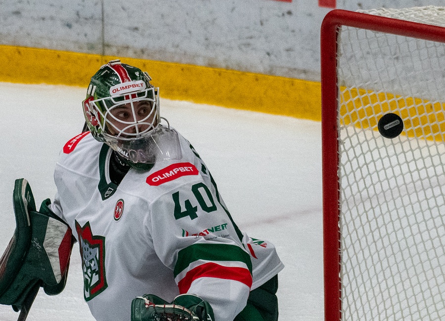 барс 2-8.JPG