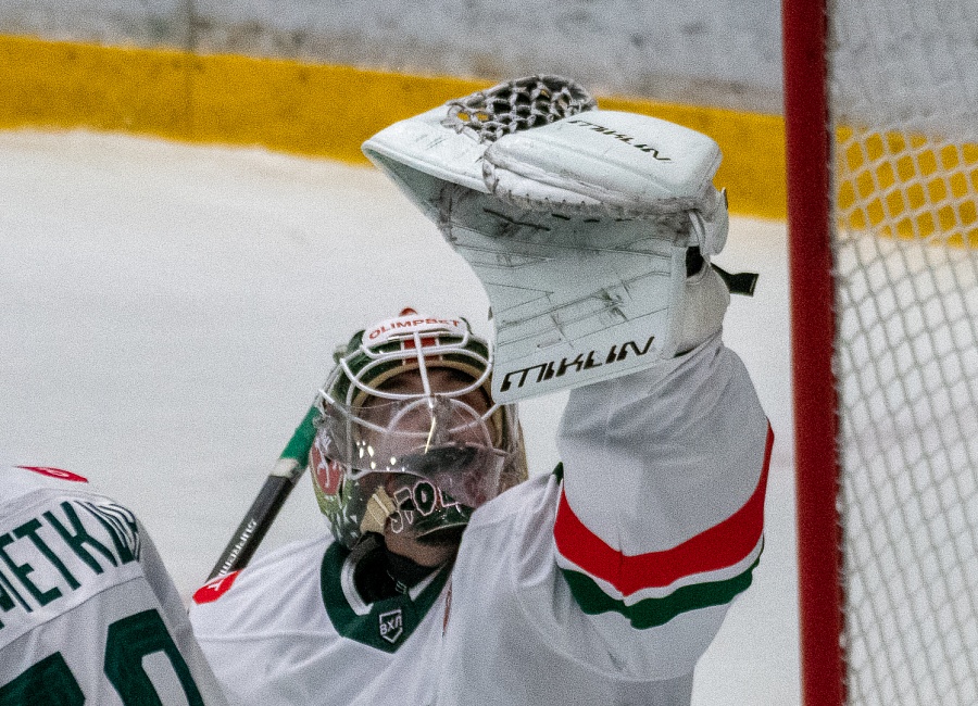 барс 2-4.JPG