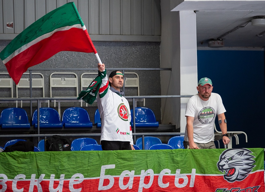 барс 3-7.JPG