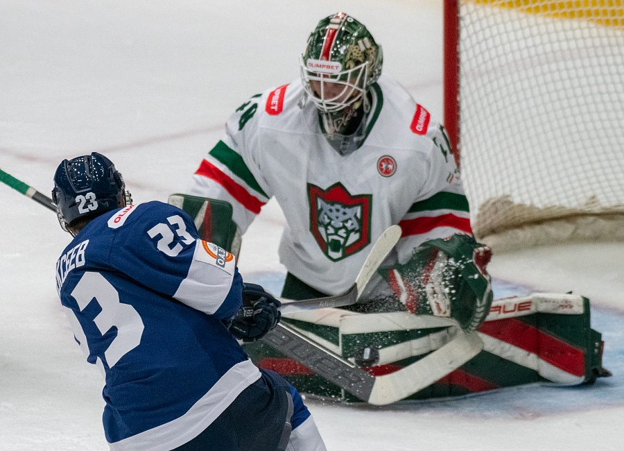 барс 2-6.JPG